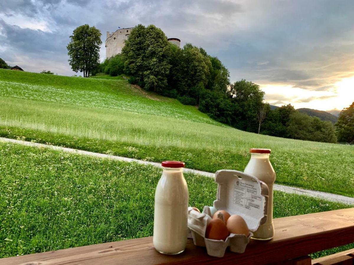 Ferienwohnungen Schlosshaeusl San Lorenzo di Sebato Dış mekan fotoğraf
